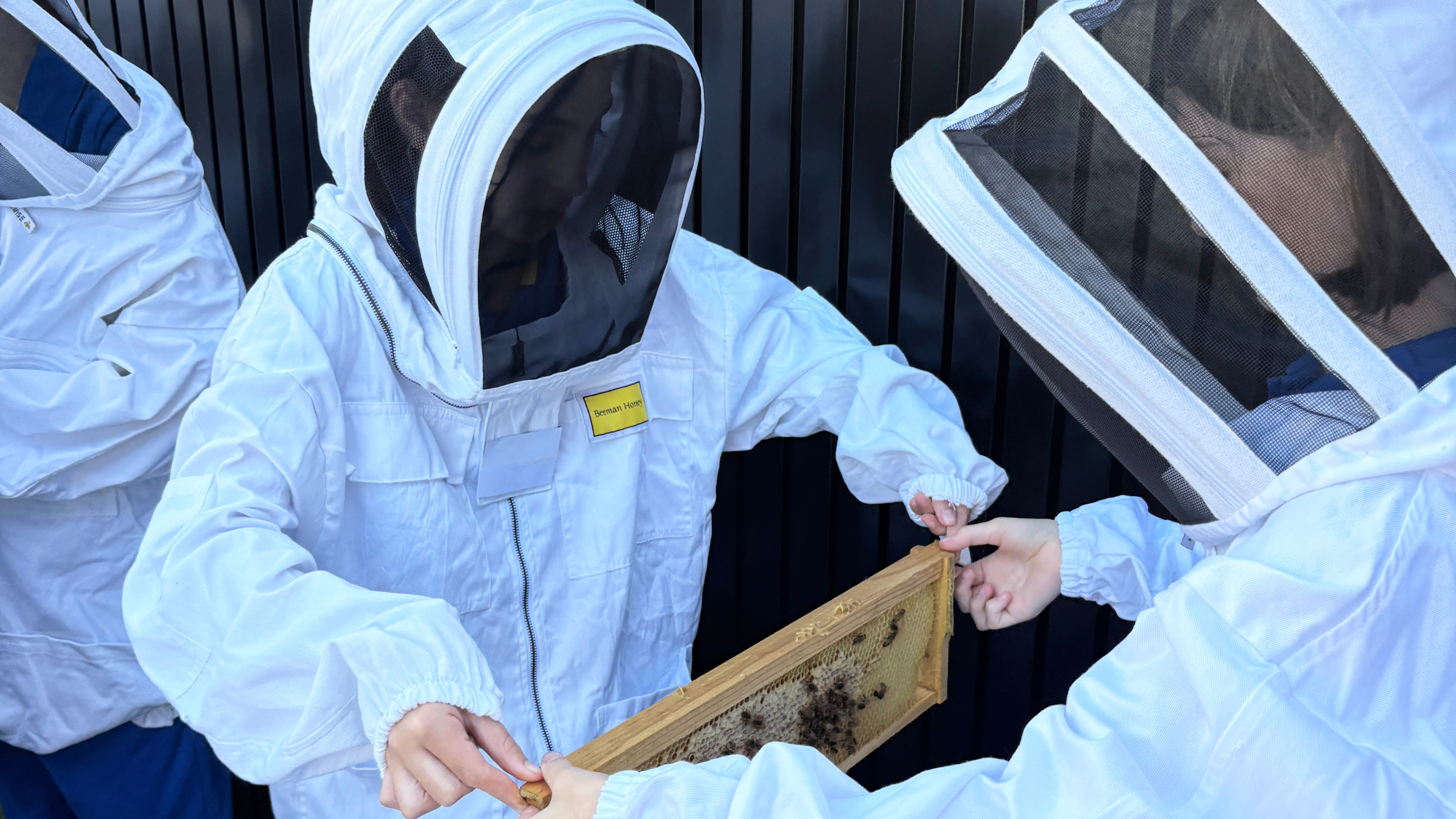 Learning Takes Flight with Loreto Toorak Bee Program (2)